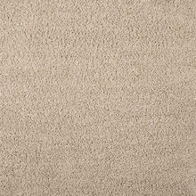 Load image into Gallery viewer, Caci - Medium Rug