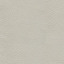 Load image into Gallery viewer, Genoa 2-Piece Upholstery Package