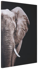 Load image into Gallery viewer, Jendayi - Wall Art