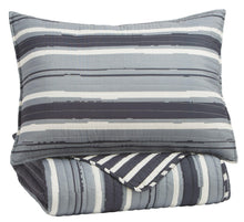 Load image into Gallery viewer, Merlin - Coverlet Set