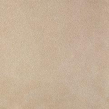 Load image into Gallery viewer, Rayvale Pillow
