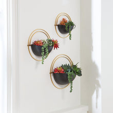 Load image into Gallery viewer, Tobins Black/Gold Finish Wall Planter (Set of 3)