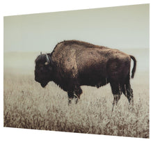 Load image into Gallery viewer, Brutus - Wall Art image