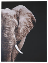 Load image into Gallery viewer, Jendayi - Wall Art image