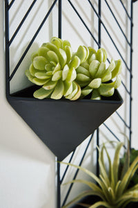 Dashney Black Wall Planter On Stand