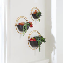 Load image into Gallery viewer, Tobins Black/Gold Finish Wall Planter (Set of 3)
