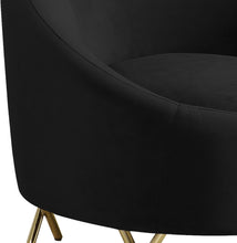 Load image into Gallery viewer, Serpentine Black Velvet Chair
