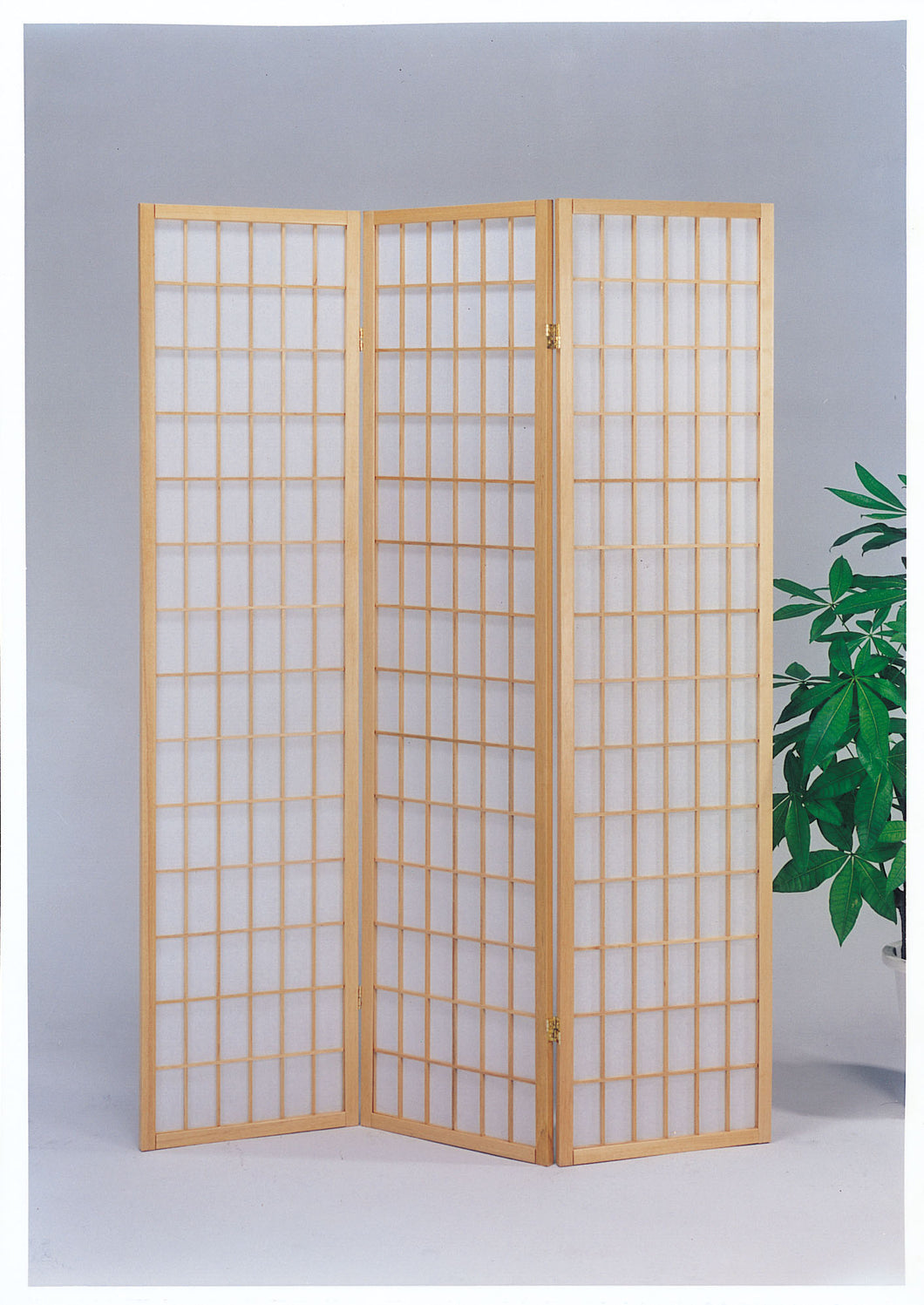 Naomi Natural Room Divider