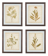 Load image into Gallery viewer, Dyani - Wall Art Set (4/cn) image
