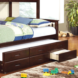 UNIVERSITY Dark Walnut Trundle w/ 3 Drawers