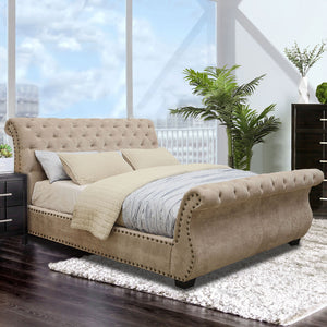 NOEMI Mocha Queen Bed