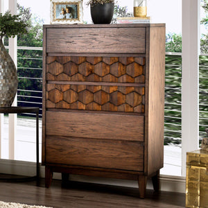 Kallisto Chestnut Brown Chest