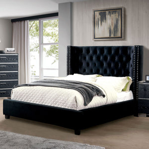 Cayla Black Queen Bed