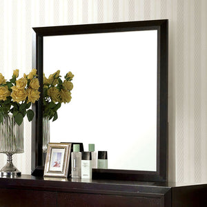 JANINE Espresso Mirror