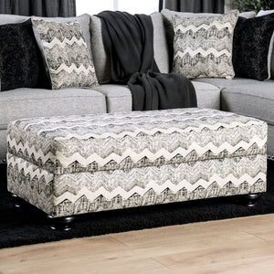 Pasquale Gray/Ivory Ottoman